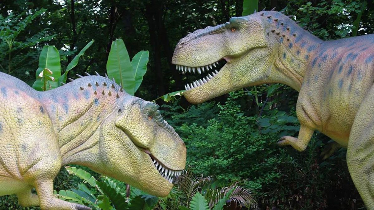 Dino Don Shark Tank update