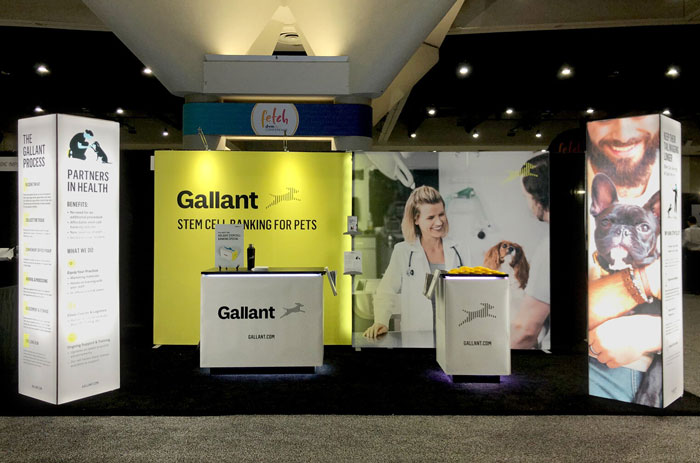 Is Gallant Profitable Now