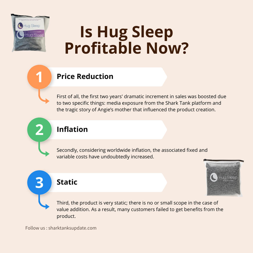 Is Hug Sleep Profitable Now