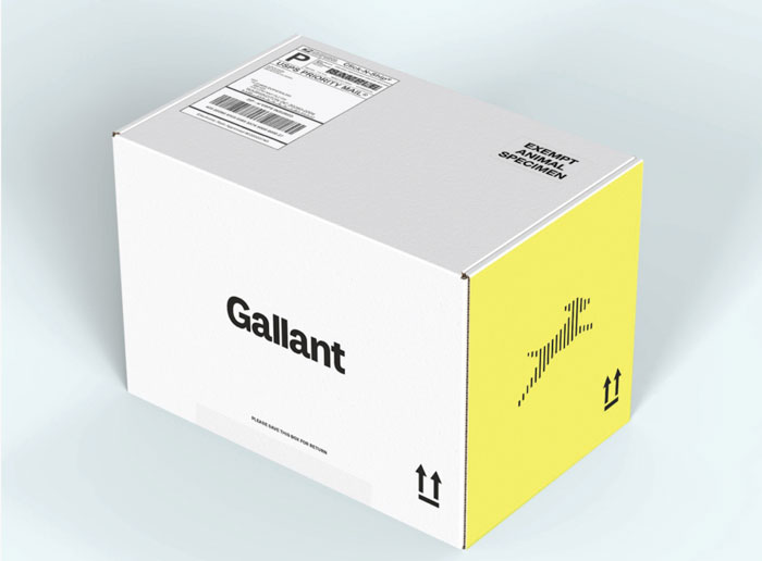 What Happened To Gallant After Shark Tank
