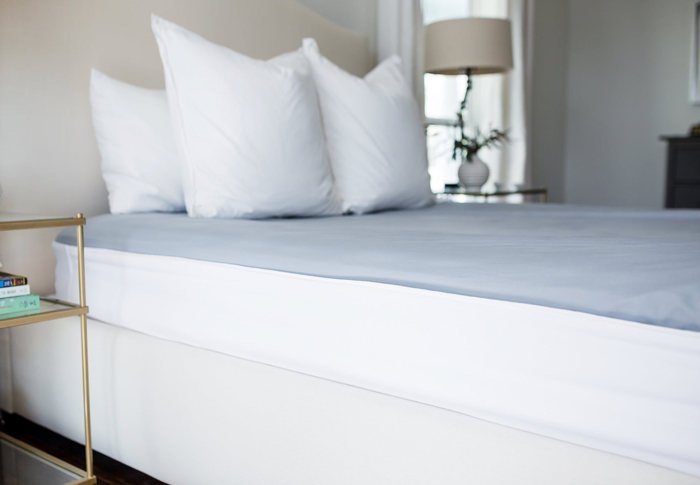 Better Bedder Net Worth