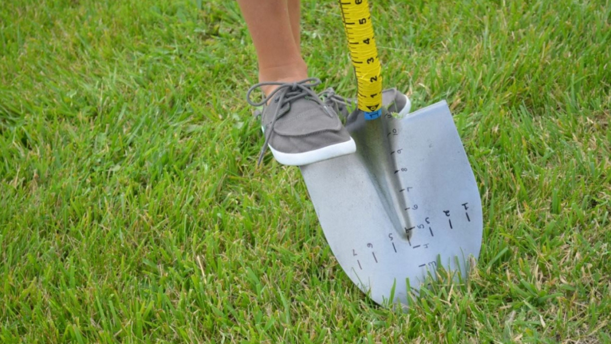 Measuring Shovel Shark Tank Update