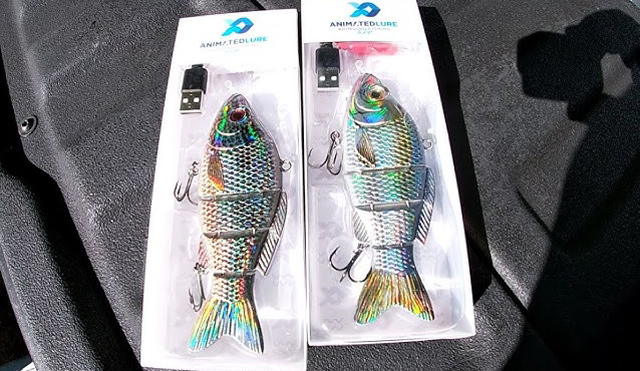 Animated Lure Before Shark Tank