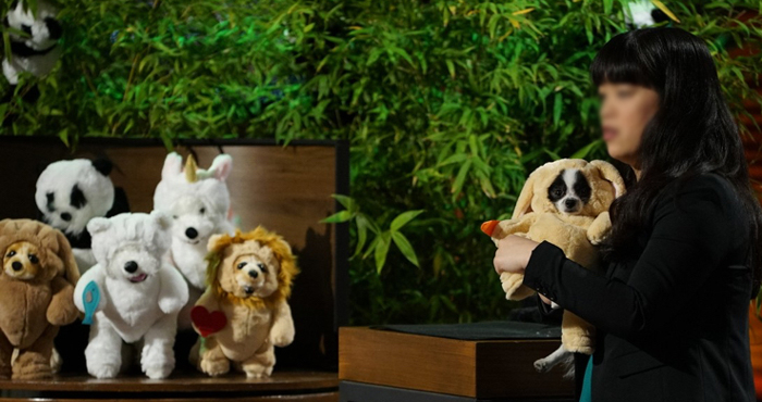 Pandaloon on Shark Tank